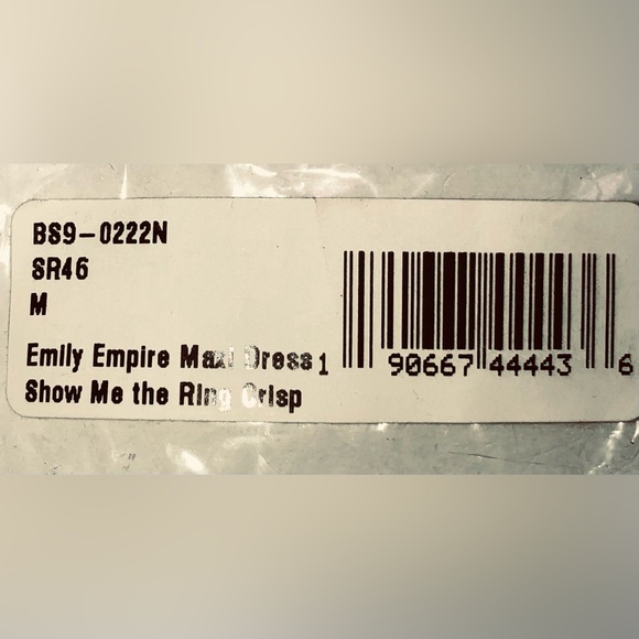 Show Me Your Mumu Bridesmaid NWT Emily Soft Beige Chiffon Maxi Dress Size Medium - Picture 6 of 6